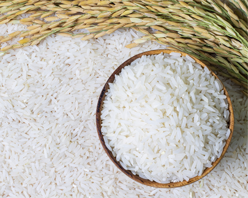 Rice
