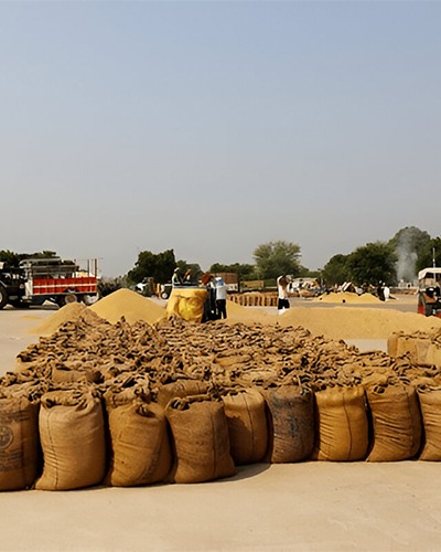 Grain Market